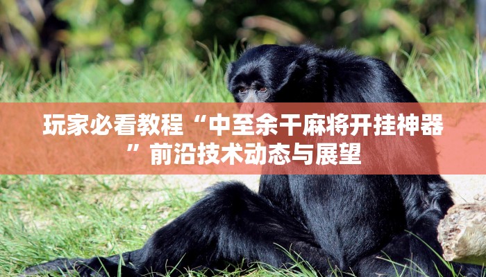 玩家必看教程“中至余干麻将开挂神器”前沿技术动态与展望