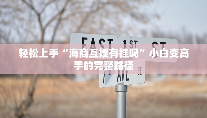 轻松上手“海商互娱有挂吗”小白变高手的完整路径