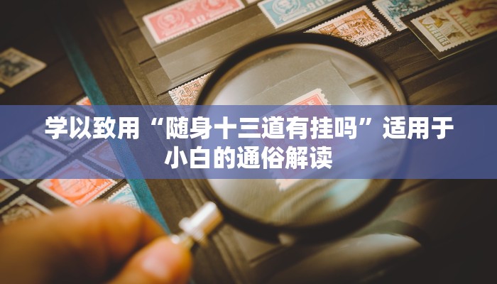 学以致用“随身十三道有挂吗”适用于小白的通俗解读