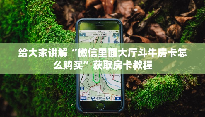 给大家讲解“微信里面大厅斗牛房卡怎么购买”获取房卡教程