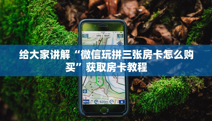 给大家讲解“微信玩拼三张房卡怎么购买”获取房卡教程 给大家讲解“微信玩拼三张房卡怎么购买”获取房卡教程