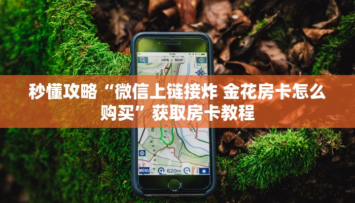 秒懂全百科“微信玩炸 金花房卡代理”在哪买房卡教程-哔哩哔哩