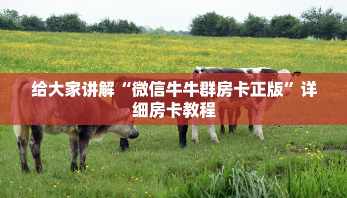 给大家讲解“微信牛牛群房卡正版”详细房卡教程 给大家讲解“微信牛牛群房卡正版”详细房卡教程