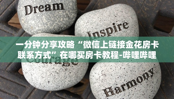 一分钟分享攻略“微信上链接金花房卡联系方式”在哪买房卡教程-哔哩哔哩