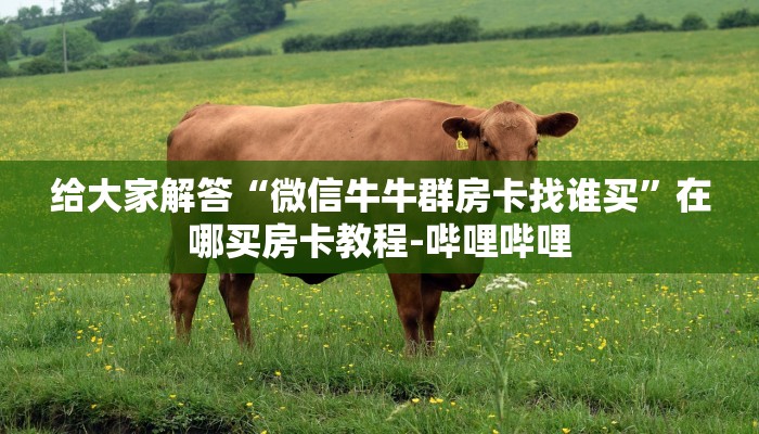 给大家解答“微信牛牛群房卡找谁买”在哪买房卡教程-哔哩哔哩 给大家解答“微信牛牛群房卡找谁买”在哪买房卡教程-哔哩哔哩