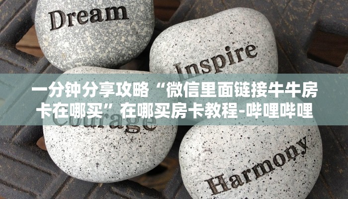 一分钟分享攻略“微信里面链接牛牛房卡在哪买”在哪买房卡教程-哔哩哔哩