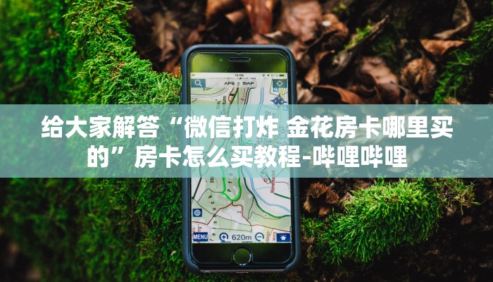 给大家解答“微信打炸 金花房卡哪里买的”房卡怎么买教程-哔哩哔哩