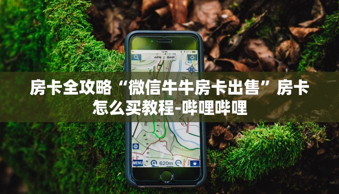 房卡全攻略“微信牛牛房卡出售”房卡怎么买教程-哔哩哔哩