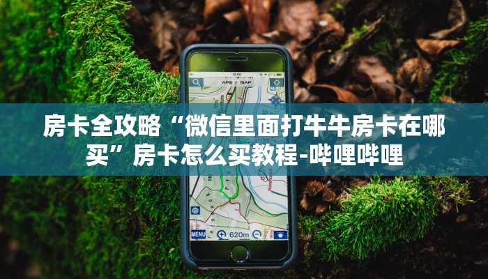 房卡全攻略“微信里面打牛牛房卡在哪买”房卡怎么买教程-哔哩哔哩